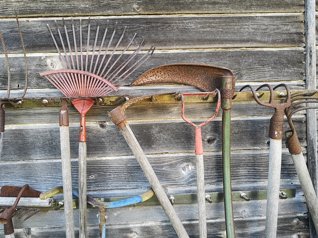 Attrezzi manuali da giardino appesi a una parete in legno.